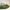 painted dog house, dog home, paint ideas, 