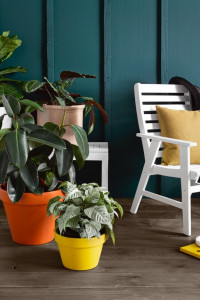 6 tips to get your exterior looking its best – and keep it that way 6 tips to get your exterior looking its best – and keep it that way