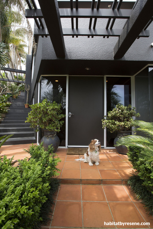 front door, entranceway, 1980s house, contemporary home, black painted exterior