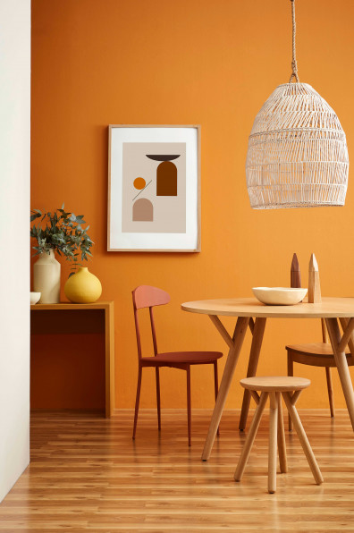 The return of rattan