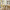 dining room, green dining room, yellow coat rack, entranceway, wood dining