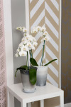 7 super creative painted walls