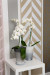 7 super creative painted walls
