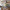 white, green, kitchen, white kitchen, wood kitchen, green splashback