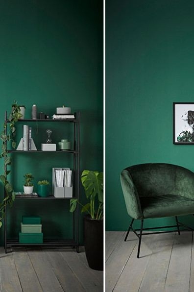 A den for everyone A den for everyone