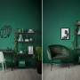 study, office he den, she den, green room, green feature room, green study, green office
