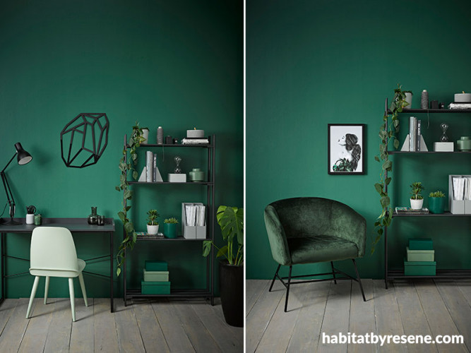 study, office he den, she den, green room, green feature room, green study, green office