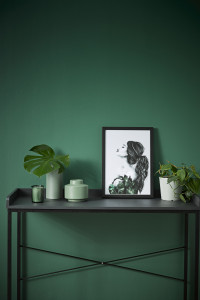 A den for everyone A den for everyone