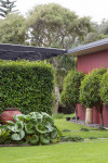 Helen and Ian’s bold coastal garden