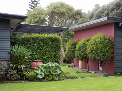 Helen and Ian’s bold coastal garden