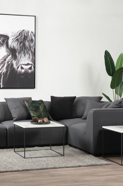 On trend: wild things On trend: wild things