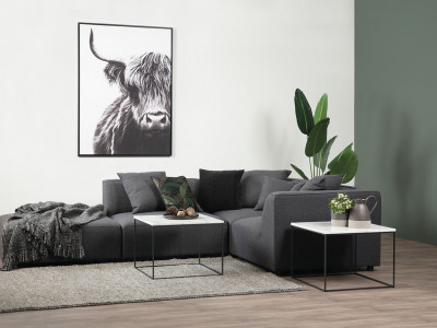 On trend: wild things