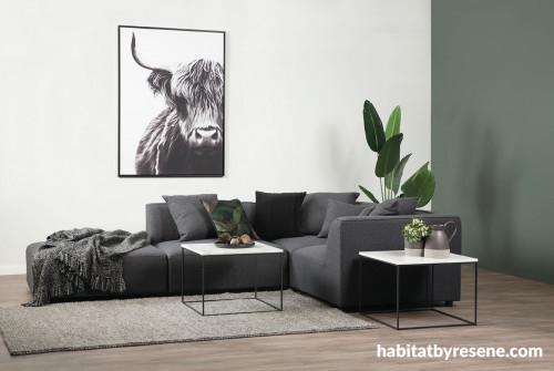 lounge, living room, green living room, green lounge, green feature wall, grey and green