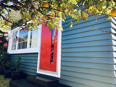 Lisa Maria and Paul’s electric Kapiti Coast home
