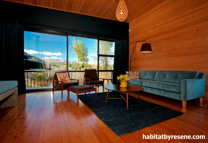 holiday cabin, timber walls, timber ceiling, timber floors, living room, lounge
