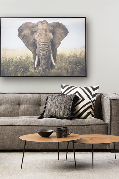 On trend: wild things On trend: wild things