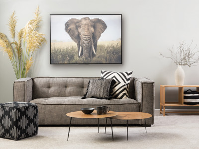 On trend: wild things