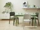 dining room, green dining room, green and white, green paint, green inspiration 