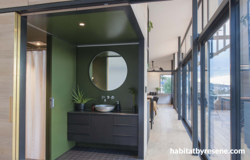 bathroom, green bathroom, bathroom inspiration, bathroom ideas, black and green, resene olive green