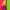 Resene fashion, Resene paint, fashion colours, Resene scrumptious