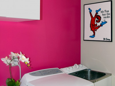 Franny’s home goes from blah to bold 