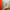 entranceway, hallway, red front door, grey hallway, grey entranceway, front entrance 