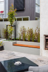 Dave’s garden goes from simple to stunning 