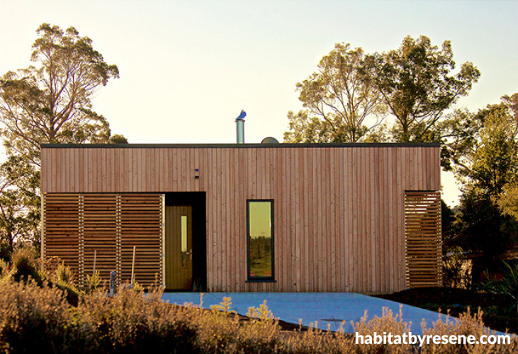 modern bach, modern cabin, contemporary cabin, new zealand bach