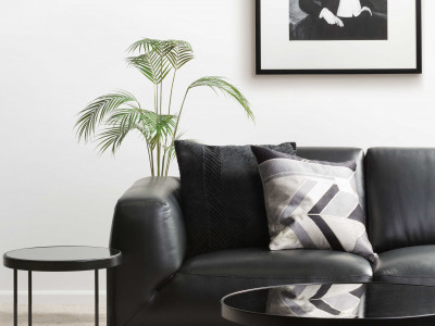 Black and white and fab all over Black and white and fab all over