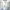 hallway, white, hall, entranceway, paint ideas, paint trends