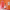 Childs room, orange paint, pink paint