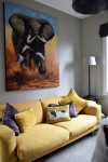 Vivienne and Geoff's elegant, French-style home