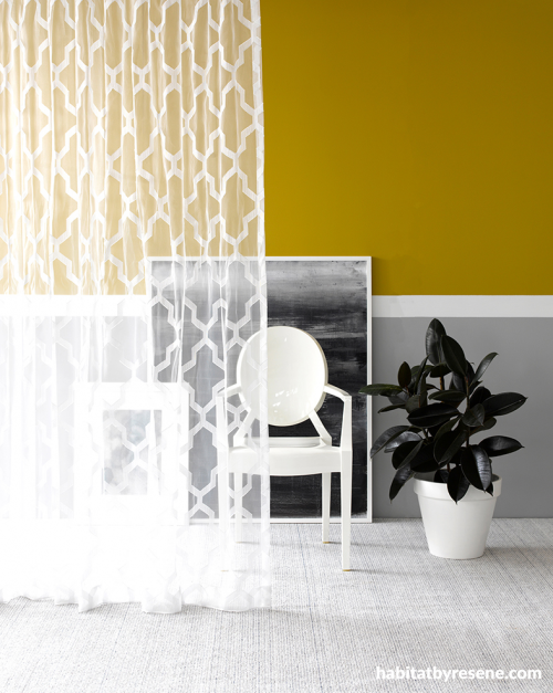 yellow, paint ideas, paint trends, james dunlop, curtains