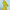 Resene fashion, Resene paint, fashion colours, Resene limerick, lime green dress