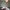 grey bedroom, bedroom, master bedroom, green bedroom, resene tasman, renovated villa