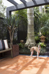 Fraser and Sandy's exotic retreat