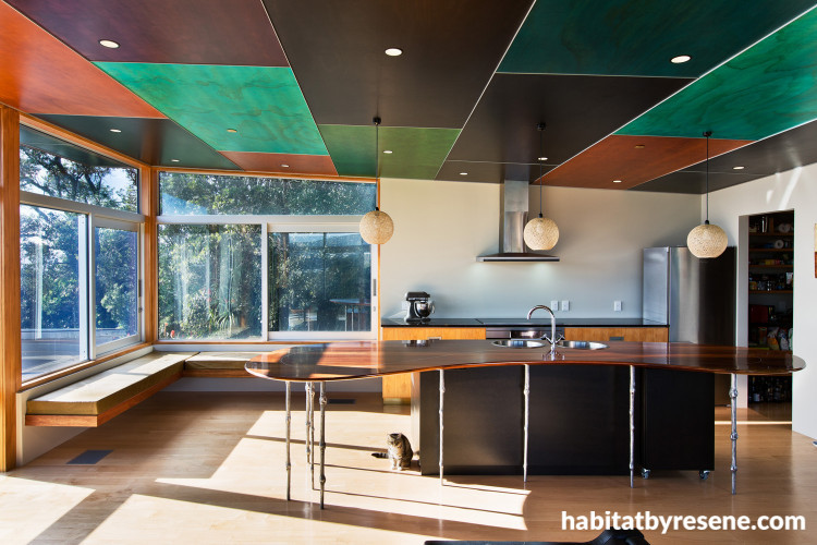 kitchen, painted ceiling, island bench, open-plan living, home design ideas