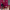 berry paint, pink walls, citta design, Paris, parisian, cafe, living room