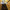 yellow interior ideas, yellow interior inspiration, yellow stairwell, stairwell design, resene