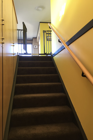 Sven and Fuailelagi find happiness with their sunshiny scheme Sven and Fuailelagi find happiness with their sunshiny scheme