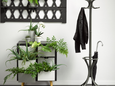 9 trends that will be turning heads in 2020