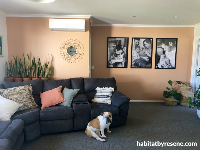 lounge, living room, orange feature wall, apricot orange, orange lounge, orange living room