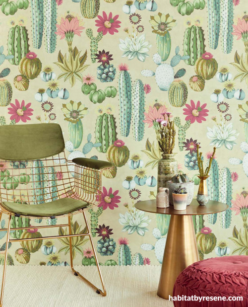 feature wall, patterned wallpaper, cactus wallpaper, green and pink, wallpaper feature wall