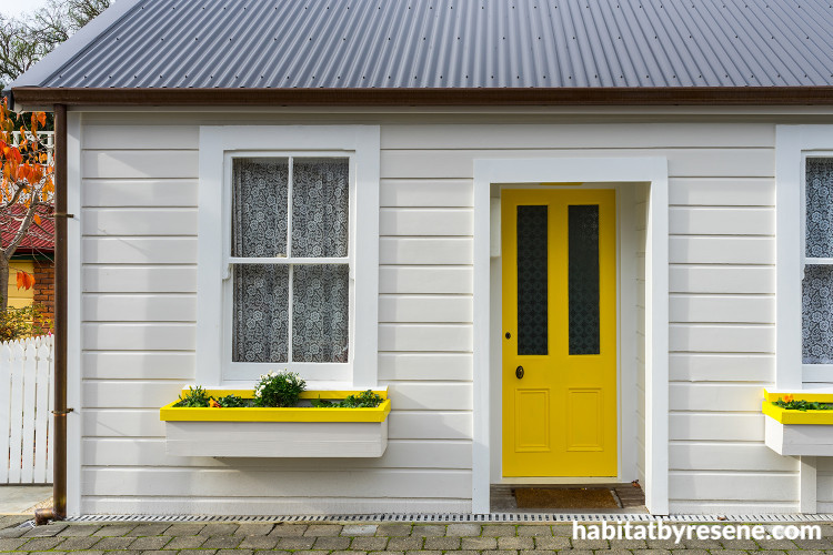 paint ideas, paint trends,yellow, front door