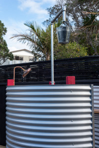 All Black Sir John Kirwan keeps it simple with black and white bach