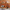 orange tonal room earthy