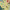 colour palette, colour ideas, design inspiration, home decorating inspiration, Resene 