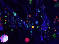 Invercargill glows during Murihiku Matariki festival