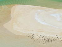 Cast your vote for New Zealand Geographic Photographer of the Year 2020 