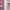 floral walls, accent wall, feature wall, decorating with floral, floral decorating, Resene 